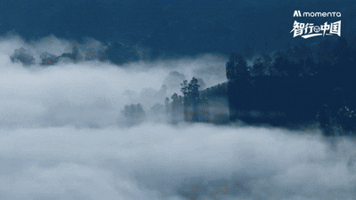 1765611262438699.gif 9.gif