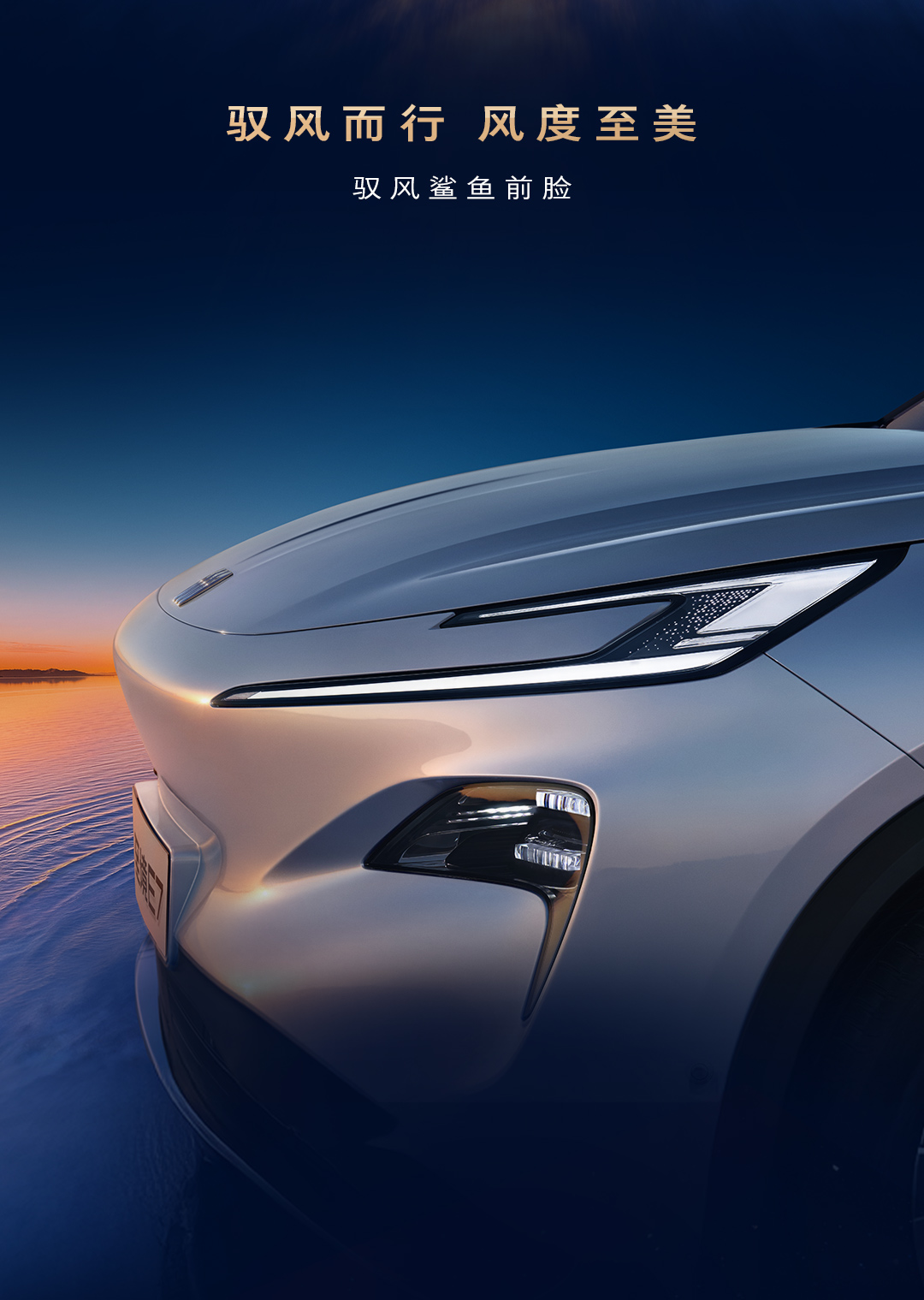 1769051462253478.jpg 04.jpg