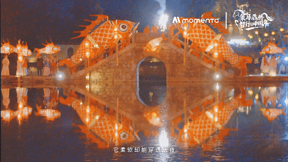 1771037841822118.gif 2.gif