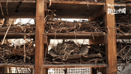 1773912868105824.gif 3.gif