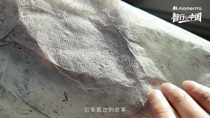 1773912945125025.gif 7.gif